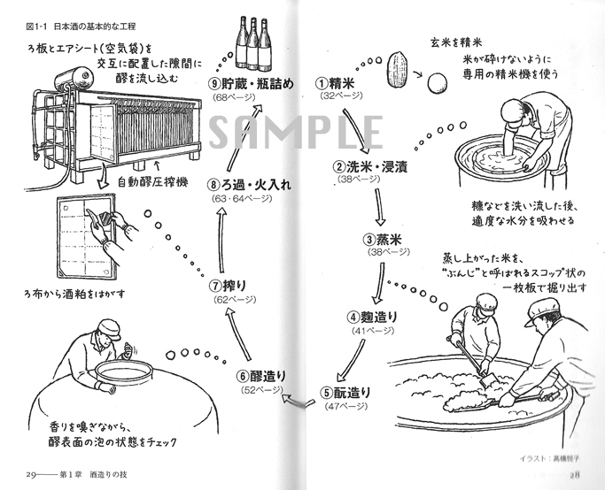 日本酒の科学 灯り窓 其の弐 高橋悦子のイラストレーション